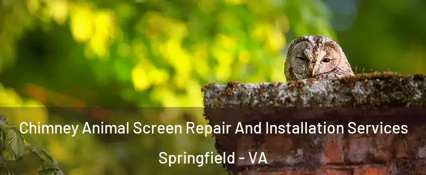  Chimney Animal Screen Repair And Installation Services Springfield - VA