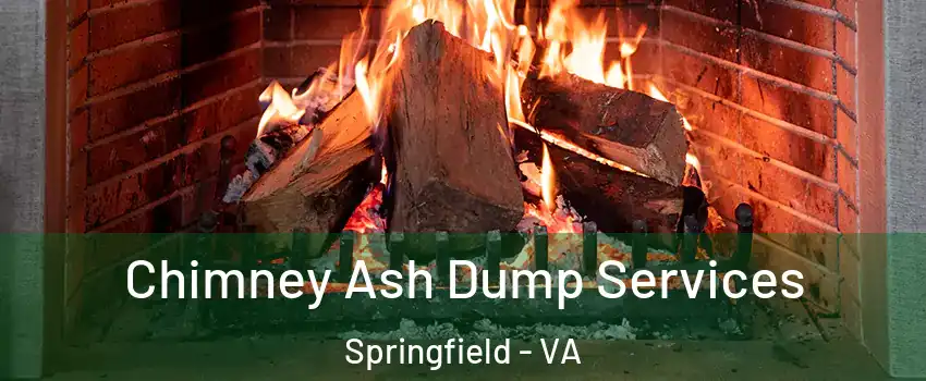  Chimney Ash Dump Services Springfield - VA