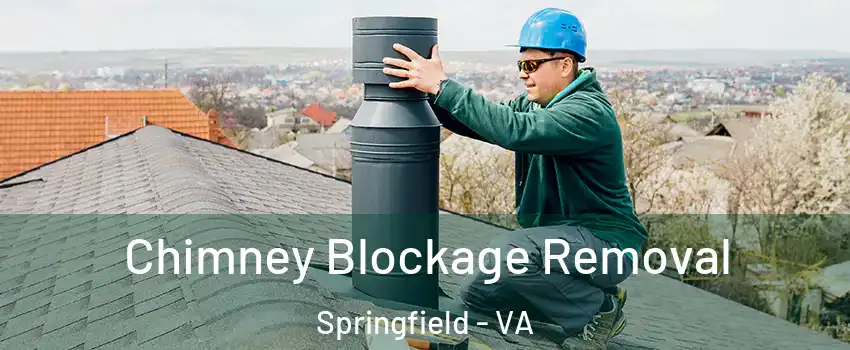  Chimney Blockage Removal Springfield - VA