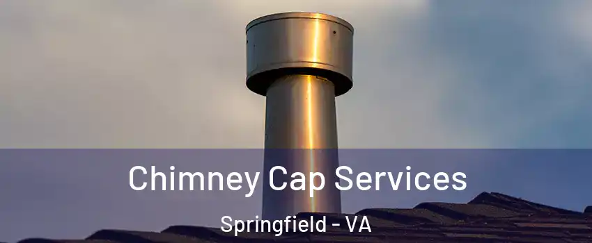  Chimney Cap Services Springfield - VA