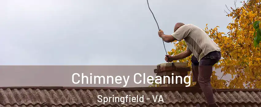  Chimney Cleaning Springfield - VA