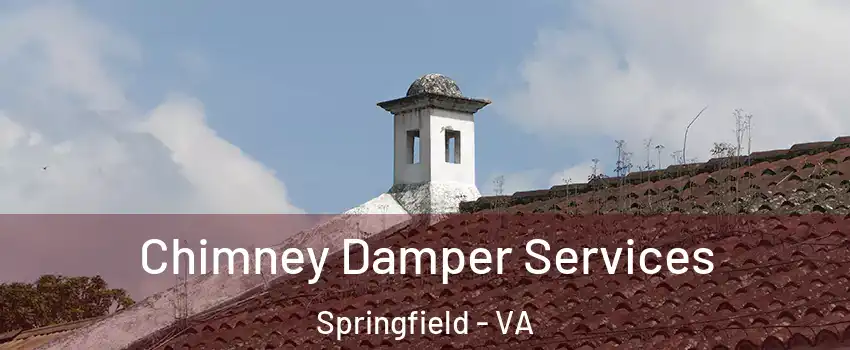  Chimney Damper Services Springfield - VA
