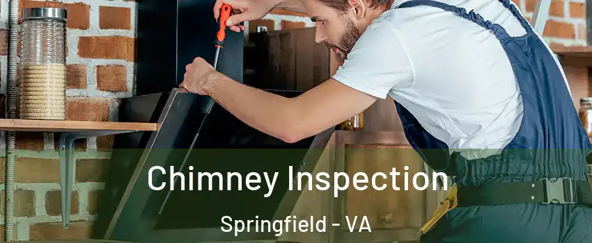  Chimney Inspection Springfield - VA