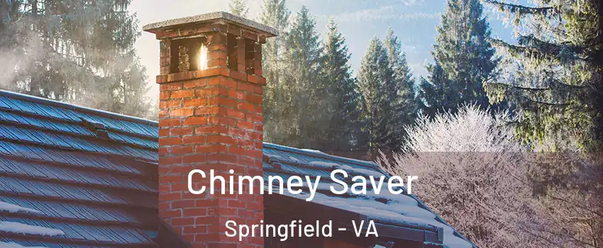  Chimney Saver Springfield - VA