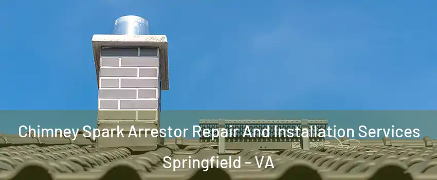  Chimney Spark Arrestor Repair And Installation Services Springfield - VA