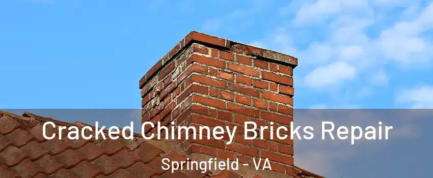  Cracked Chimney Bricks Repair Springfield - VA