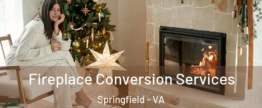  Fireplace Conversion Services Springfield - VA