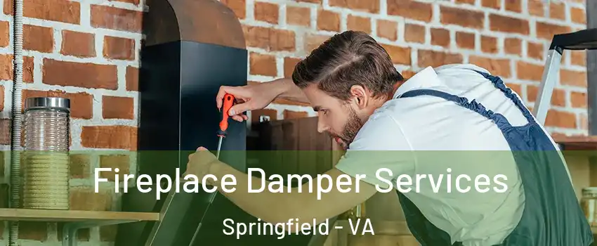 Fireplace Damper Services Springfield - VA