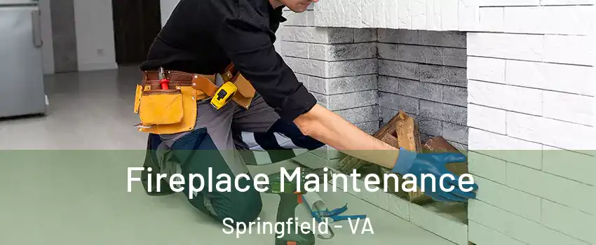  Fireplace Maintenance Springfield - VA