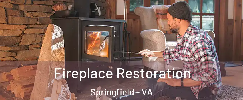  Fireplace Restoration Springfield - VA