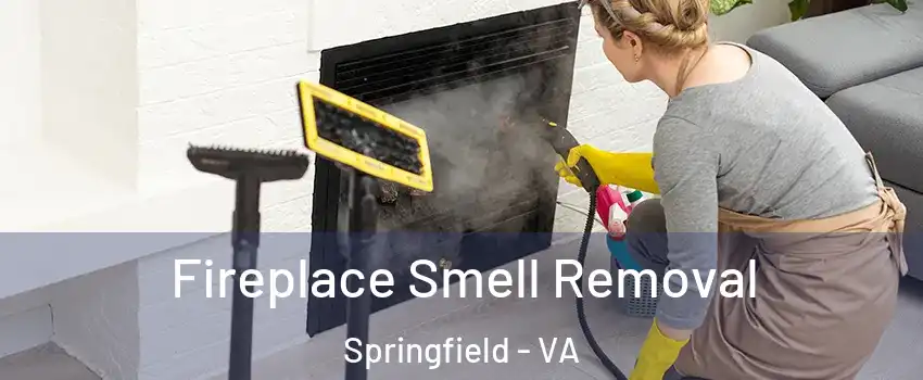  Fireplace Smell Removal Springfield - VA