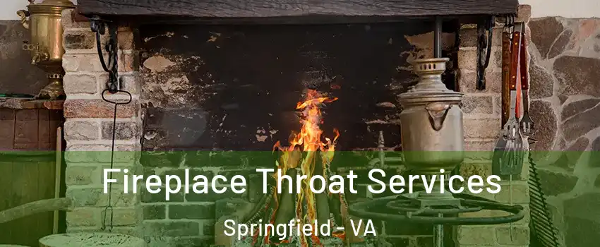  Fireplace Throat Services Springfield - VA