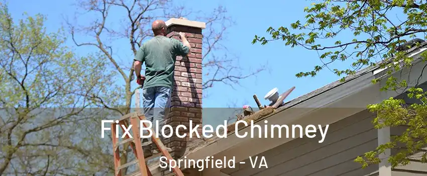  Fix Blocked Chimney Springfield - VA