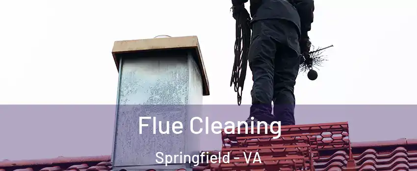  Flue Cleaning Springfield - VA