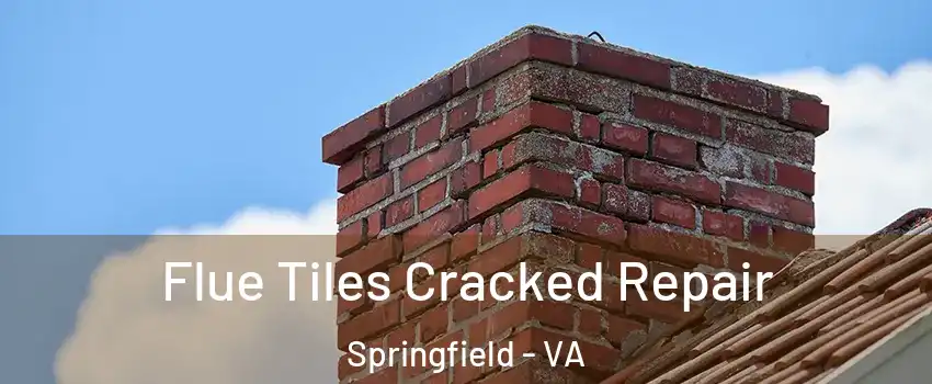  Flue Tiles Cracked Repair Springfield - VA
