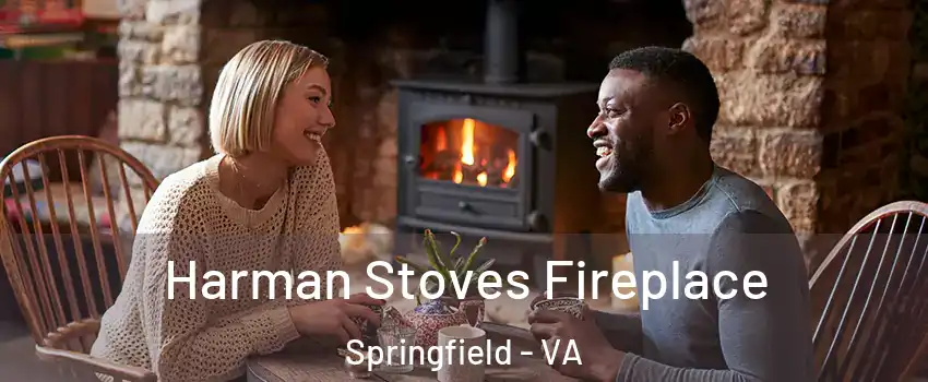  Harman Stoves Fireplace Springfield - VA