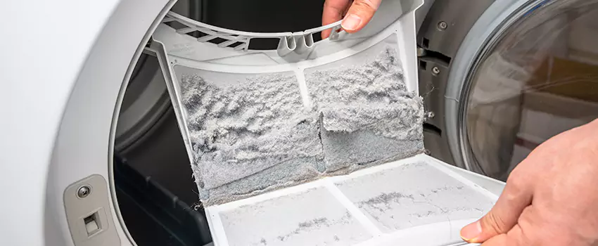 Best Dryer Lint Removal Company in Springfield, Virginia