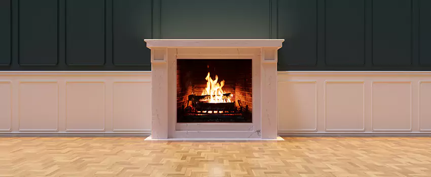 Napoleon Electric Fireplaces Inspection Service in Springfield, Virginia