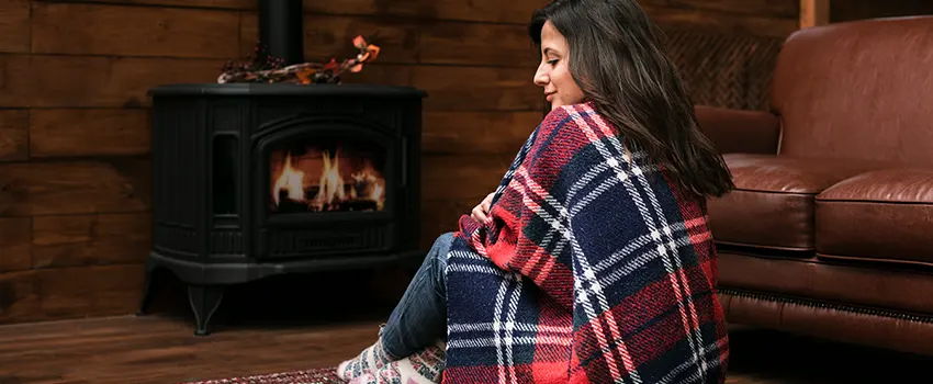 Fireplace Firebox Grate Replacement Services  in Springfield, Virginia