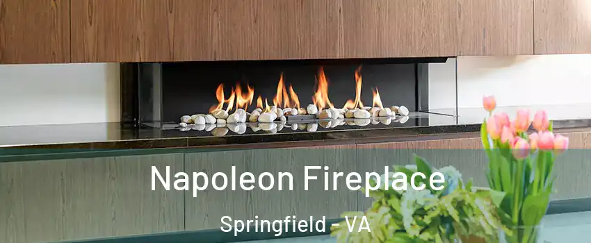  Napoleon Fireplace Springfield - VA