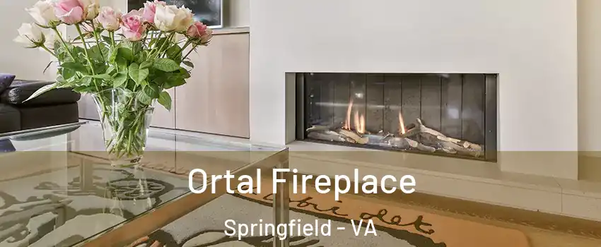 Ortal Fireplace Springfield - VA