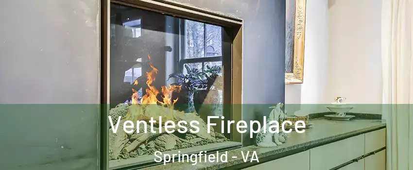  Ventless Fireplace Springfield - VA